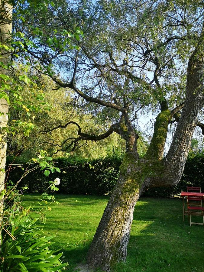 Le Domaine De Coat Rogan, La Chambre Du Jaudy Pommerit-Jaudy Exterior foto